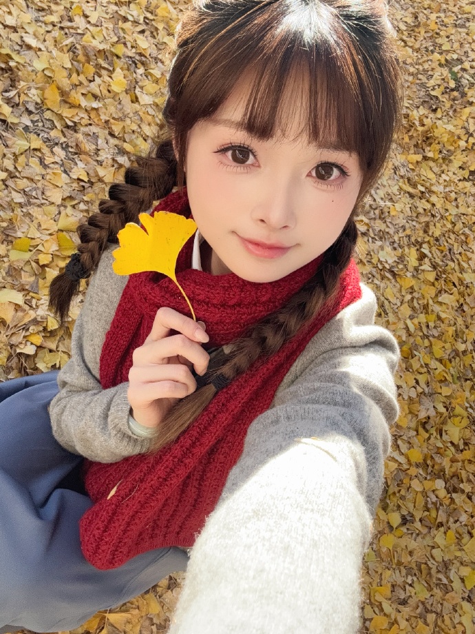 疯狂动物城 封面